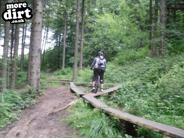 Pace Bike Park - Dalby Forest