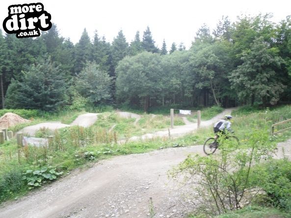 Pace Bike Park - Dalby Forest