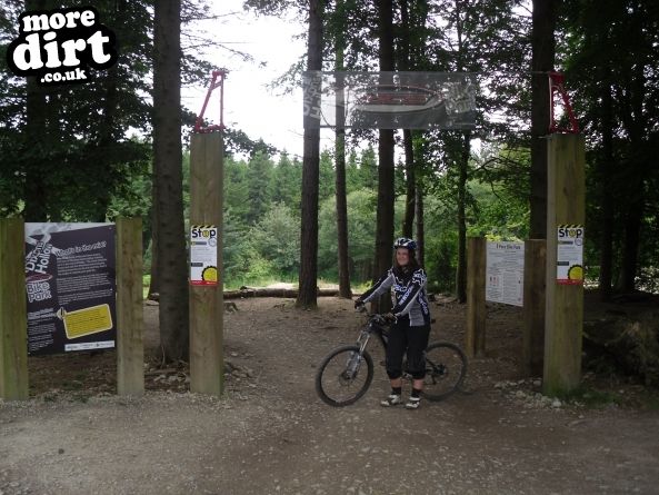 Pace Bike Park - Dalby Forest