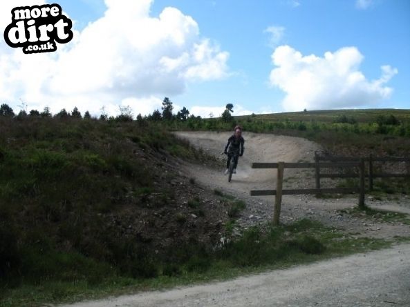 Red Trail - Coed Llandegla Forest