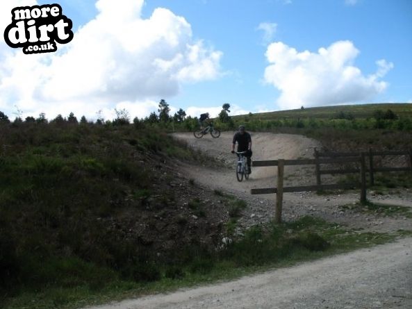 Red Trail - Coed Llandegla Forest