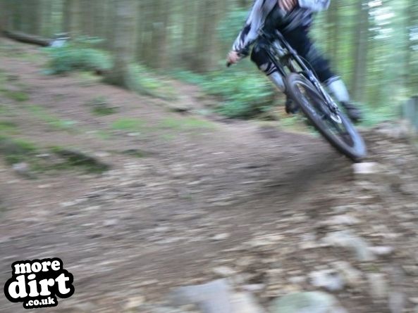 Eastridge Downhill Trails