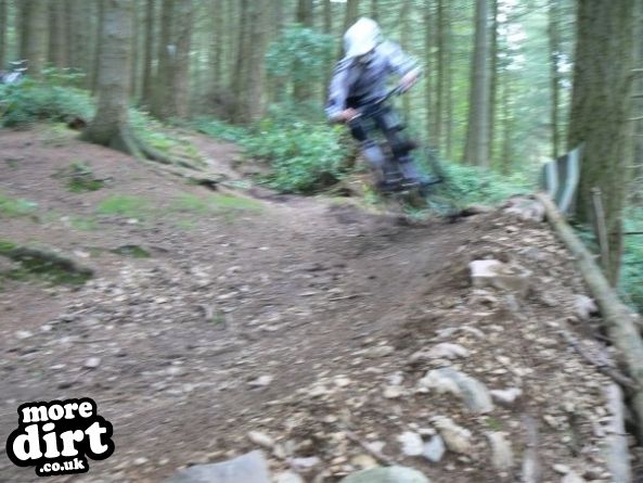 Eastridge Downhill Trails