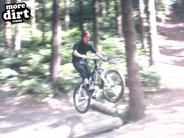 Delamere Forest Mountain Bike Trails
