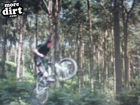 Delamere Forest Mountain Bike Trails