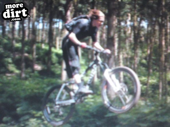 Delamere Forest Mountain Bike Trails