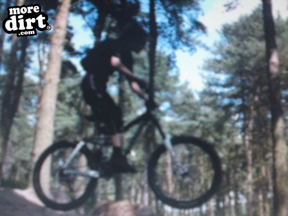Delamere Forest Mountain Bike Trails