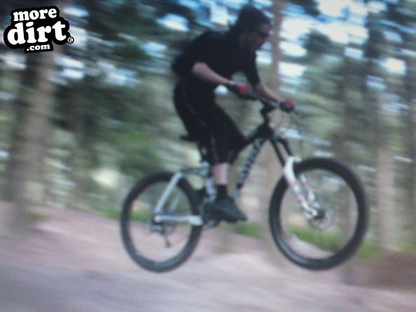 Delamere Forest Mountain Bike Trails