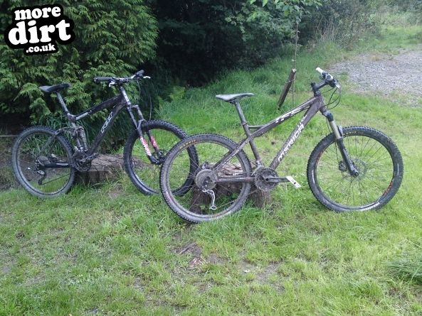 Altura Trail - Whinlatter Forest