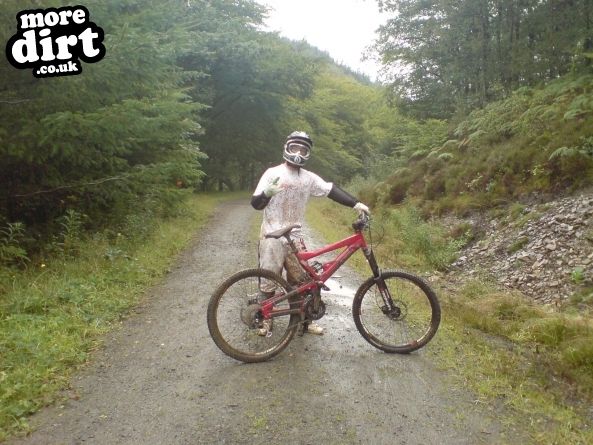 Raven Trail - Brechfa