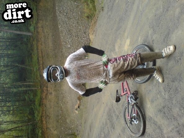 Raven Trail - Brechfa