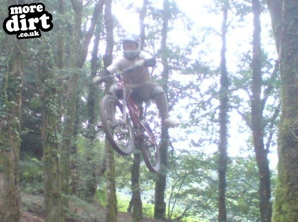 Raven Trail - Brechfa