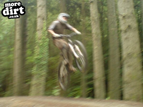 Raven Trail - Brechfa