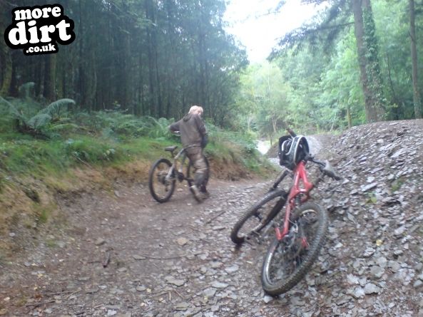 Raven Trail - Brechfa