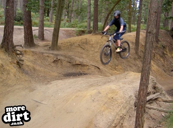 Swinley Forest Mountain Bike Centre