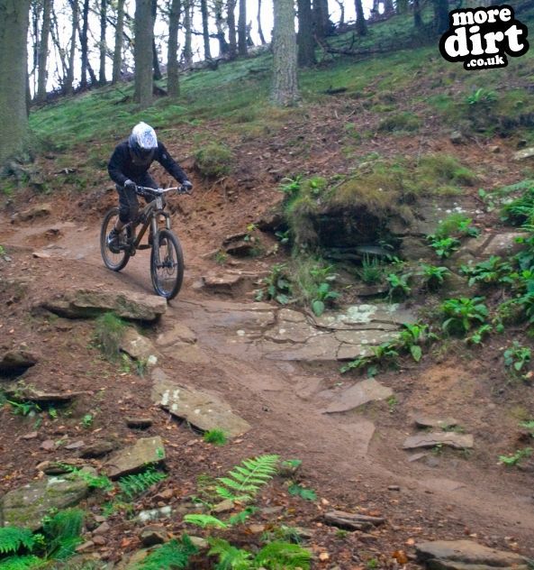 Twrch Trail - Cwmcarn