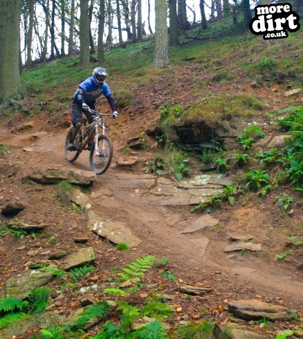 Twrch Trail - Cwmcarn