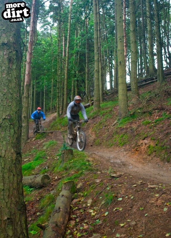 Y Mynydd Downhill - Cwmcarn