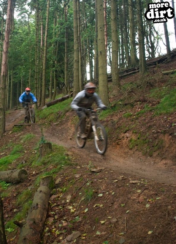 Twrch Trail - Cwmcarn