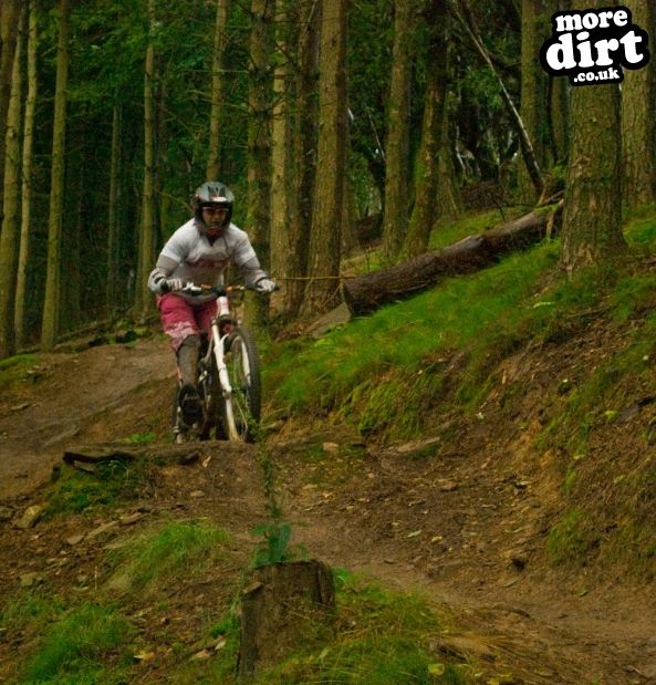 Twrch Trail - Cwmcarn