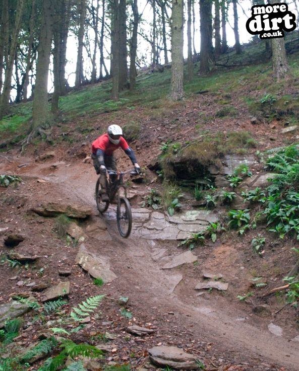 Twrch Trail - Cwmcarn