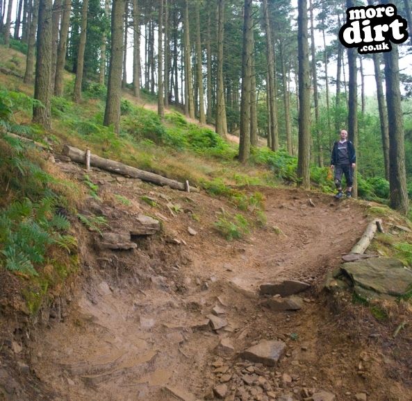 Twrch Trail - Cwmcarn