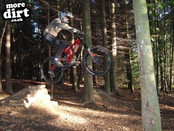 Wharncliffe Woods - DH Trails