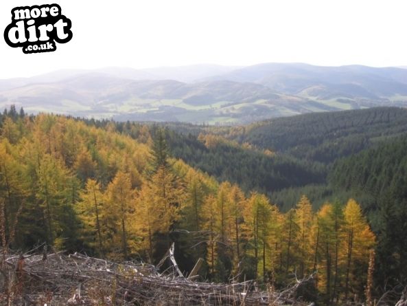 Cademuir Mountain Biking Trails