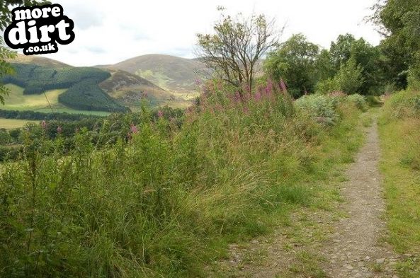 Cademuir Mountain Biking Trails
