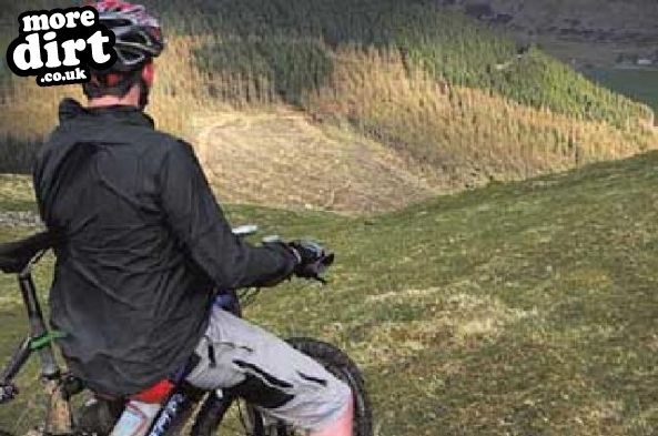 Cademuir Mountain Biking Trails