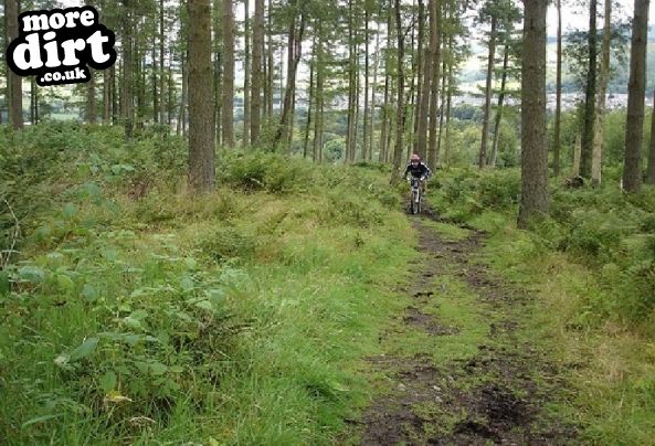 Cademuir Mountain Biking Trails