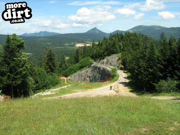 Below mid section of World Championship downhill c