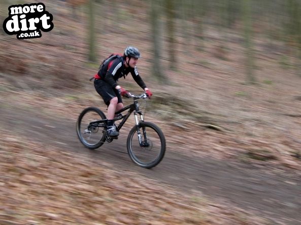 Queen Elizabeth Country Park Mountain Bike Trails