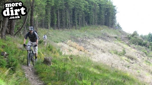 Skyline Trail - Afan Forest
