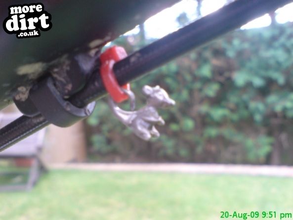 My lucky charm the reason i still have my teeth lo