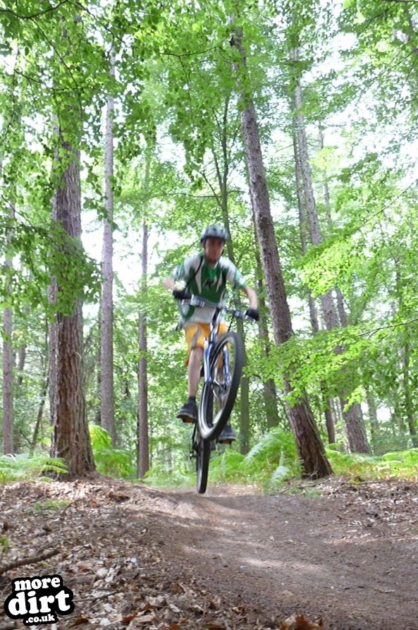 Beater Trail - Thetford Forest