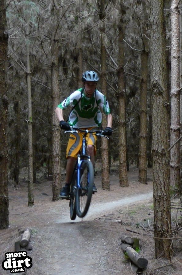 Beater Trail - Thetford Forest