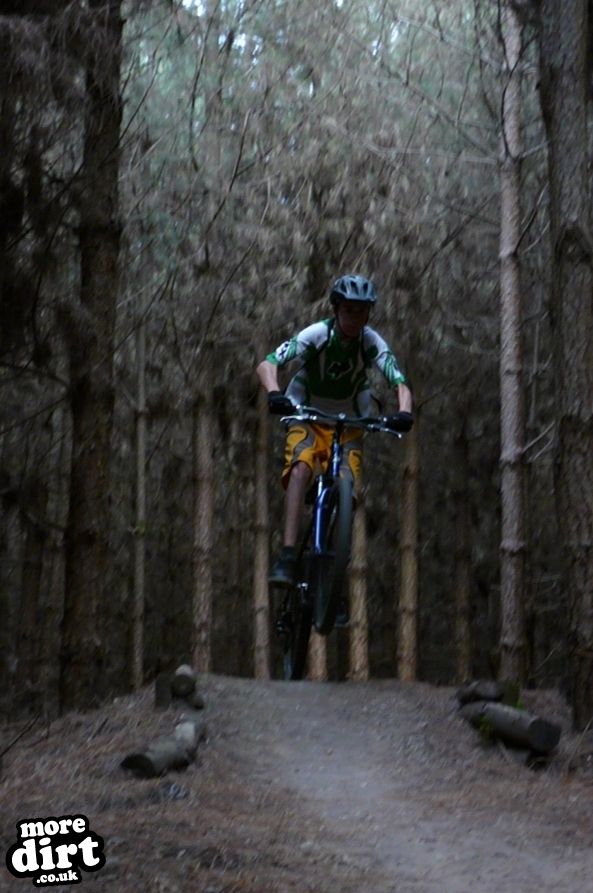 Beater Trail - Thetford Forest