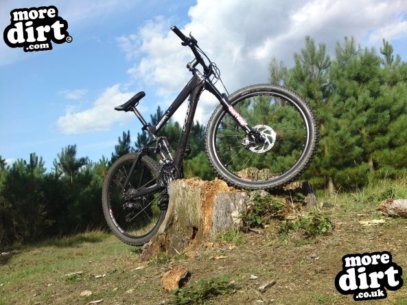 Beater Trail - Thetford Forest