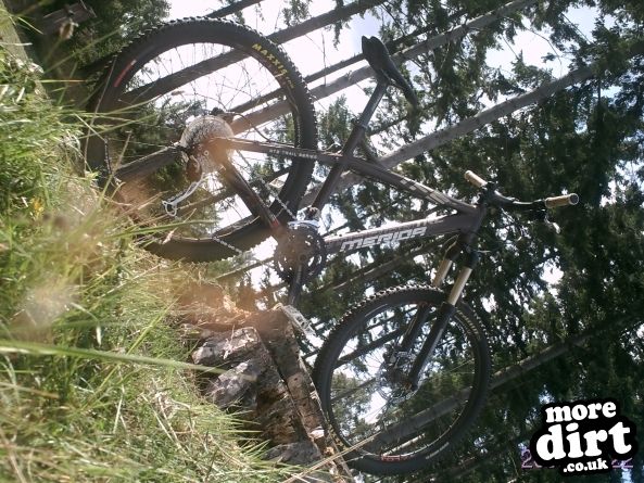 Lime Burner Trail - Thetford Forest