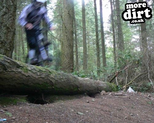 Eastridge Downhill Trails