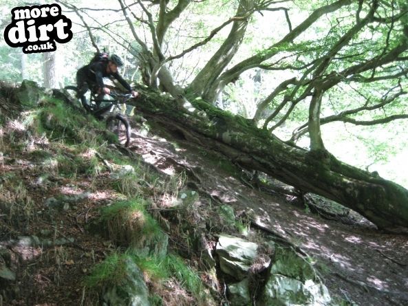 Fetteresso (Swanley) Trail