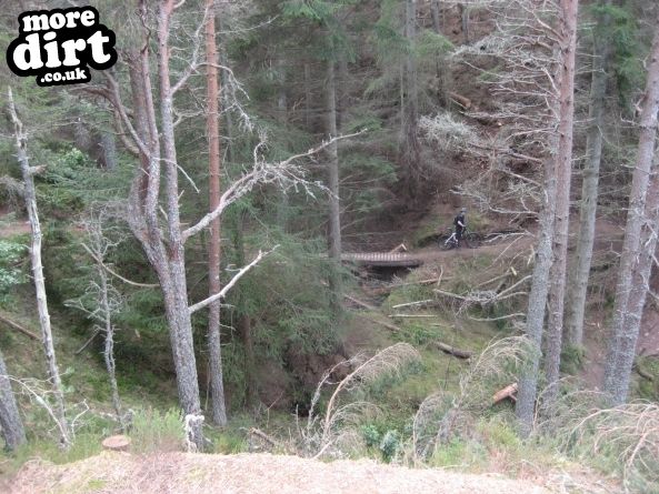 The Gully Monster - Moray