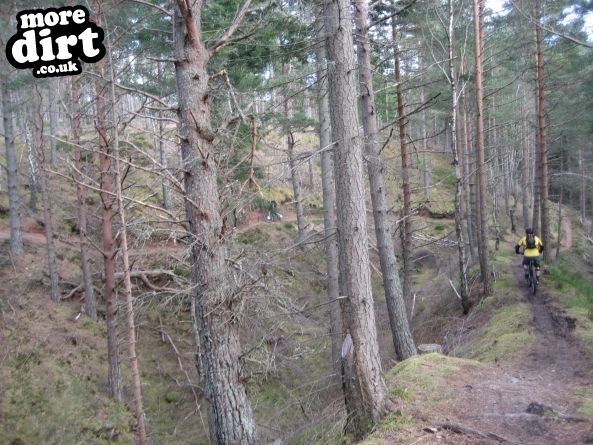 The Gully Monster - Moray