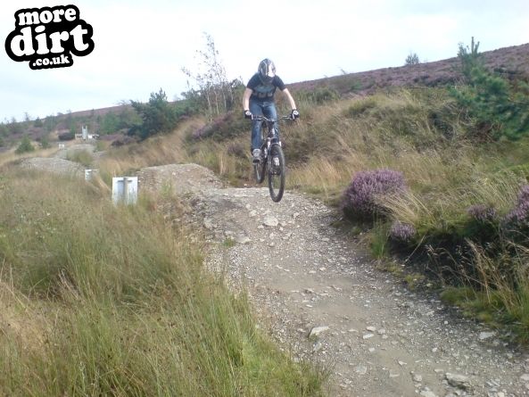 Black Trail - Coed Llandegla Forest