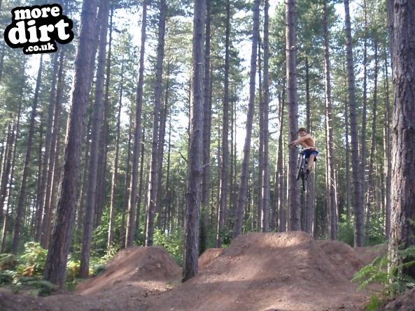 Sherwood Pines Bike Park