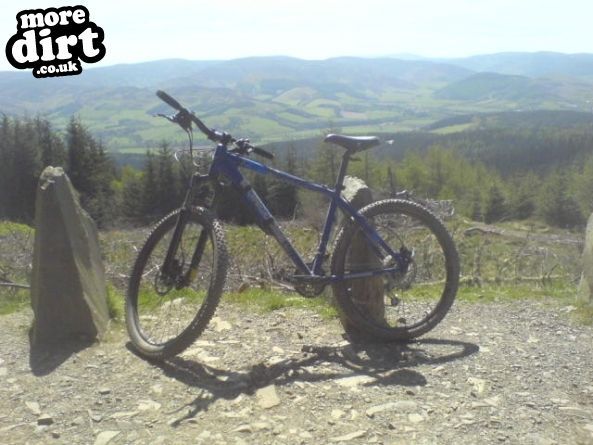 The Red Trail - Glentress