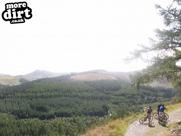 Altura Trail - Whinlatter Forest