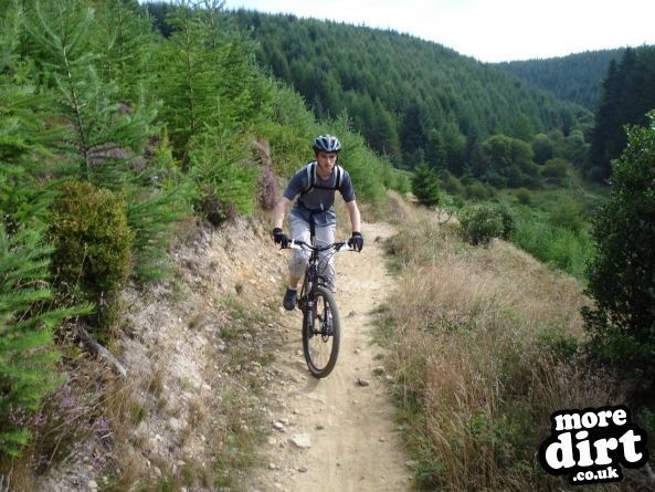 Dalby Forest Red Trail