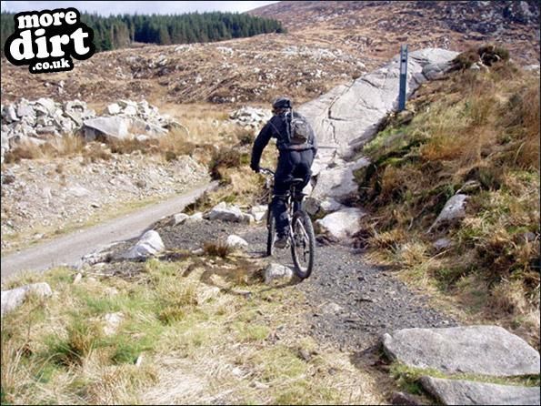 Bargaly Wood Trail - Kirroughtree